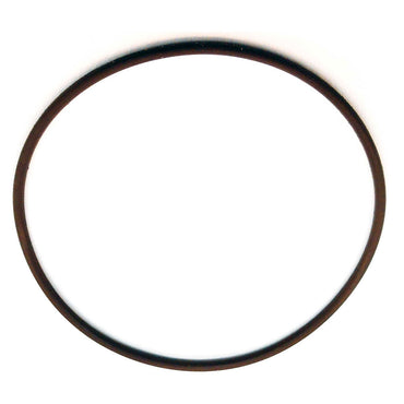 O-Ring For Oberdorfer Pumps 9797-034